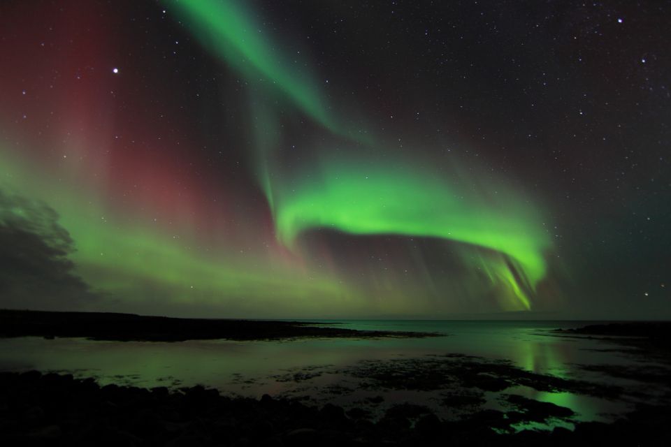 From Reykjavik: Northern Lights Tour - Key things to know before you go