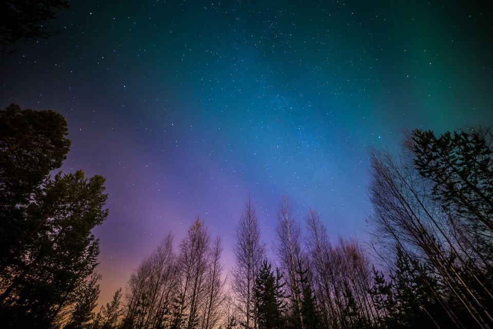 From Reykjavik: Northern Lights Tour - Should You Book the Reykjavik Northern Lights Tour?