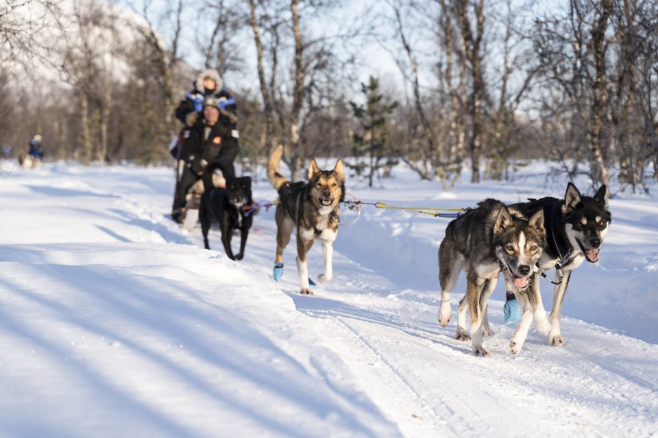 From Tromsø: Fun and Easy Dog Sledding Adventure - Safety Briefing and the First Steps of Mushing