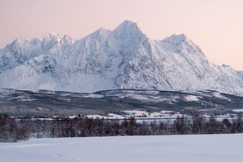 From Tromsø: Fun and Easy Dog Sledding Adventure - Price and Value: What $282 Is Buying You