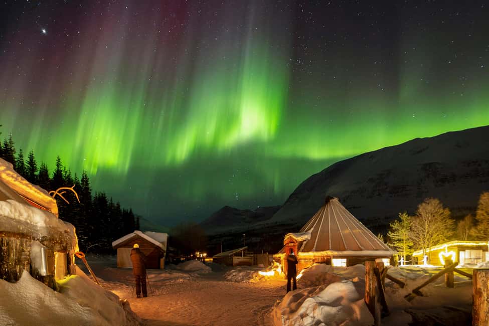 From Tromsø: Northern Lights Visit at Camp Tamok - Price and value: is $250 a fair trade for an uncertain sky?