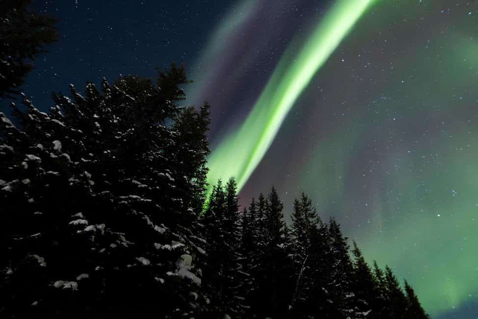 From Tromsø: Northern Lights Visit at Camp Tamok - Group size, guide quality, and how to get the best night