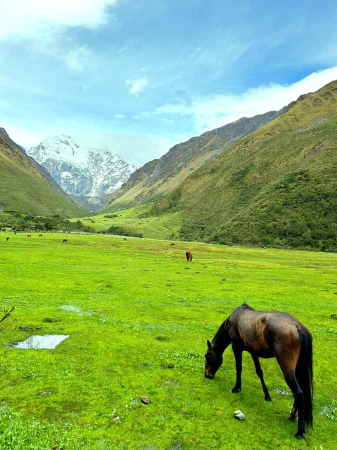 Lagoon Humantay. Full Day Tour with Breakfast and Lunch - The Cusco–Mollepata transfer: breakfast and a smoother rhythm