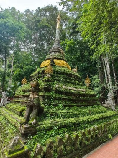 Private tour Chiangmai , Explore hidden gems Lanna temple - Wat Umong: Underground Tunnels, Forest Temple Quiet, and Where Meditation Fits
