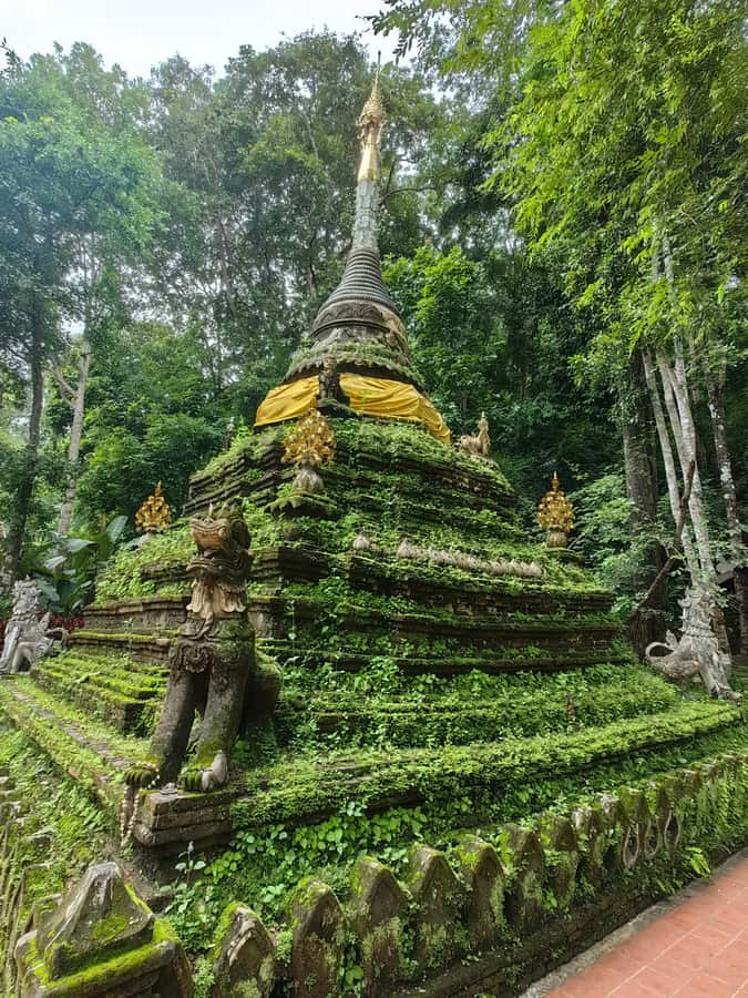 Private tour Chiangmai , Explore hidden gems Lanna temple - Wat Umong: Underground Tunnels, Forest Temple Quiet, and Where Meditation Fits