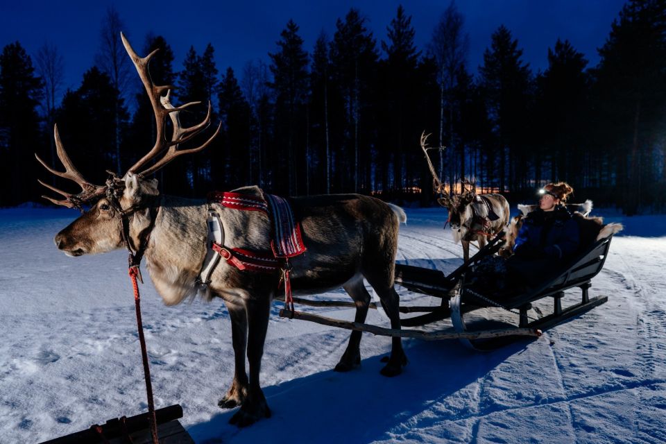 Rovaniemi: Apukka Reindeer Sleigh Ride at Night - The reindeer sleigh ride: quiet snow, real Lapland pace