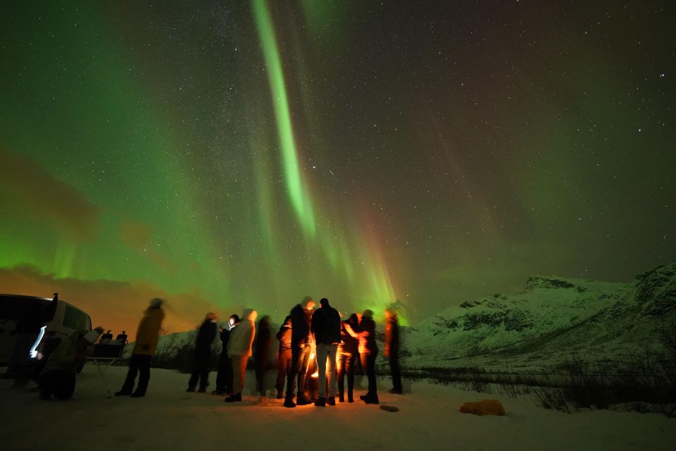 Tromsø: Northern Lights Tour with Free Professional Portrait - Aurora Photography Coaching and the Free Portrait You Get Next Day