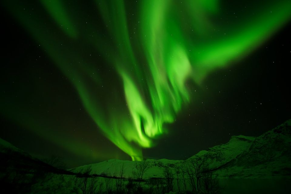 Tromsø: Northern Lights Tour with Free Professional Portrait - Food, Drinks, and the Feel-Good Routine While You Wait