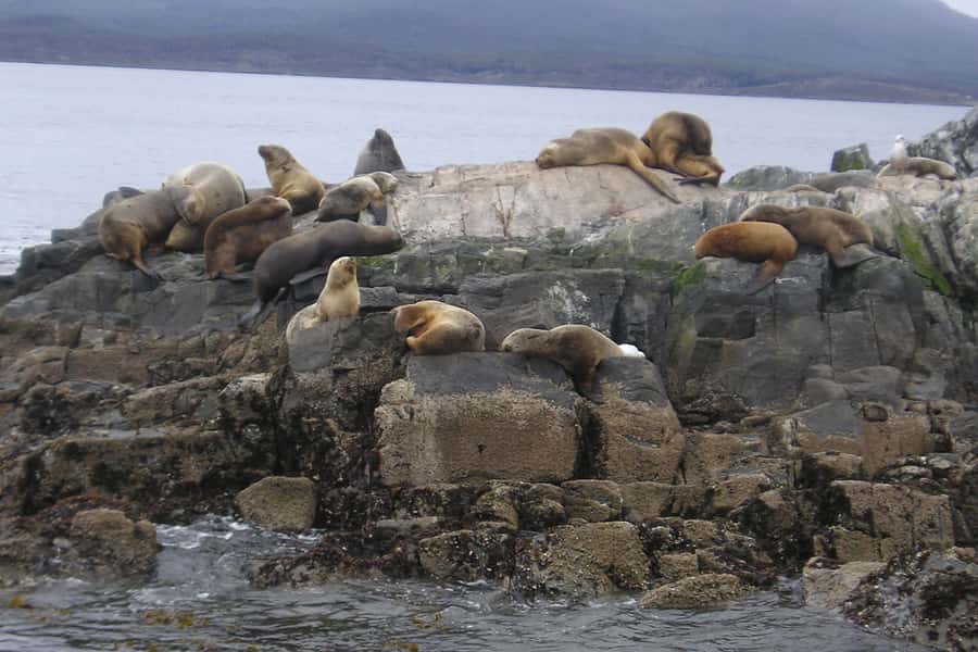 Ushuaia: Beagle Channel, Seal Island & Bridges Islands Tour - Les Eclaireurs Lighthouse and the Monte Cervantes shipwreck