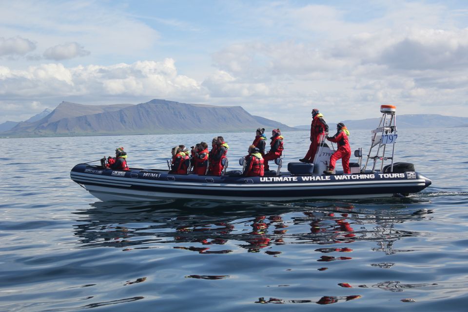 Whale Watching in Reykjavik by Speedboat - The guides and captains: where the quality shows